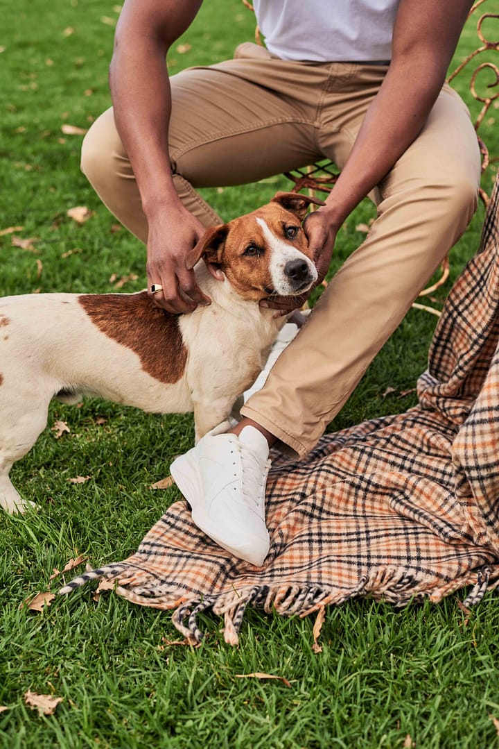 Eenzaamheid wine farm picnic with a dog. Make-up. Hair. Styled. Paarl. Photographer Stefan Venter. Cape Town, South Africa.